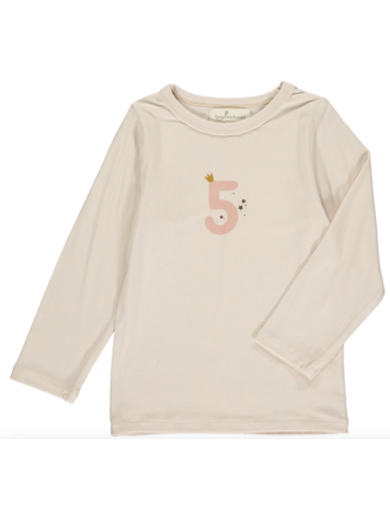 TINY VICTORIES Birthday Party Five Tee