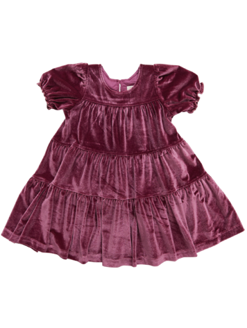 PINK CHICKEN Girls Velour Elizabeth Dress