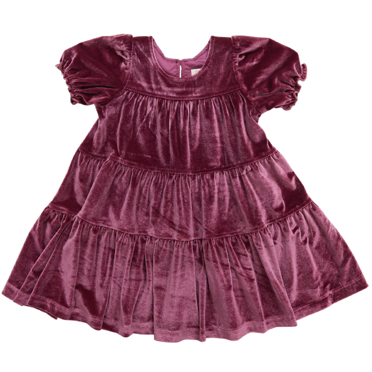 PINK CHICKEN Girls Velour Elizabeth Dress