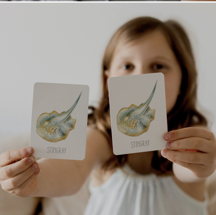 MODERN MONTY Ocean Snap & Go Fish