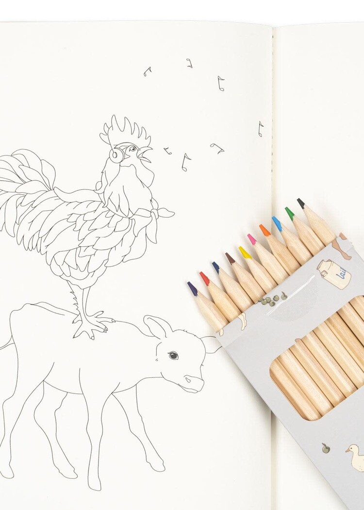 KONGES SLOJD Farm Coloring Book & Crayons