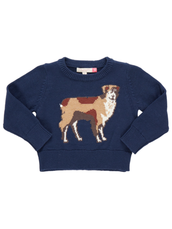 PINK CHICKEN Boys Oliver Sweater