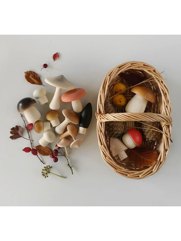 Living Refinery Forest Mushrooms Basket