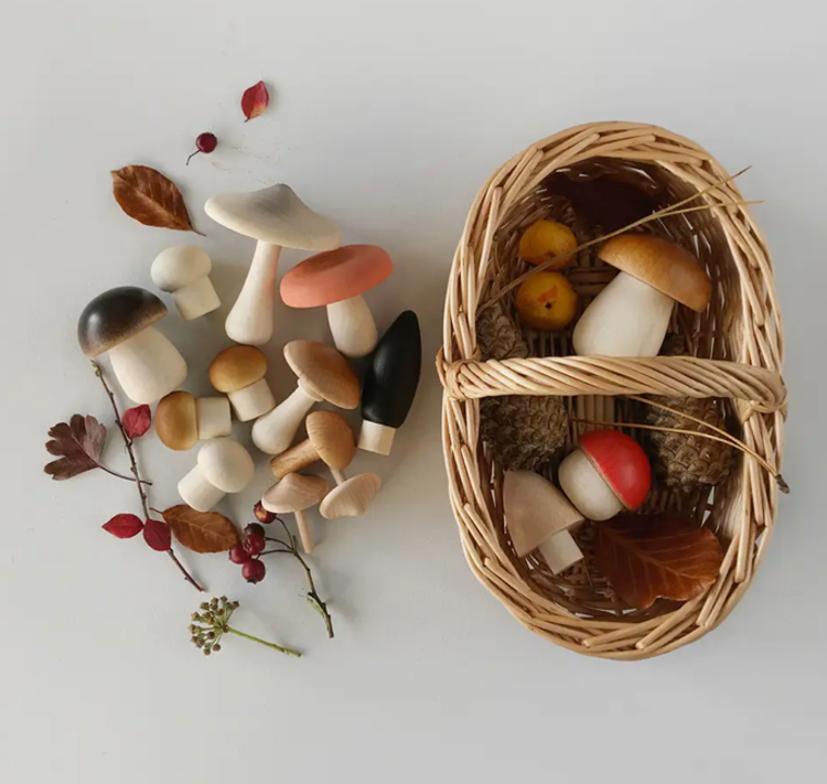 Living Refinery Forest Mushrooms Basket