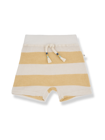 1 + THE FAMILY Alessandro Bermuda