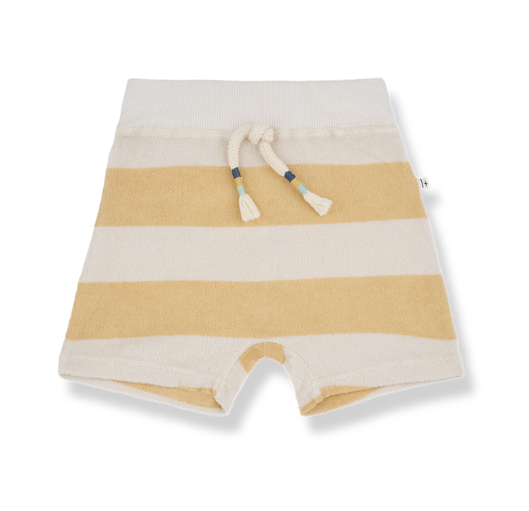 1 + THE FAMILY Alessandro Bermuda