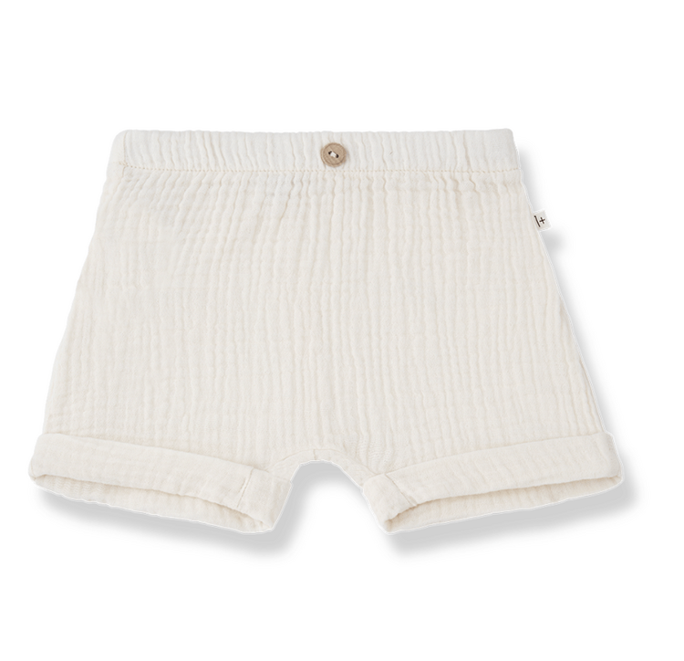 1 + THE FAMILY Mirko Bermuda