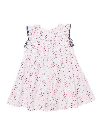 PINK CHICKEN Waverly Ditsy Stars Dress