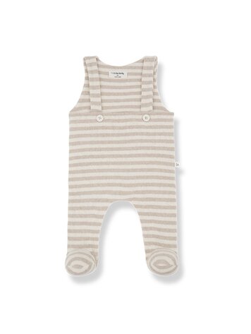 1 + THE FAMILY Francois Overall