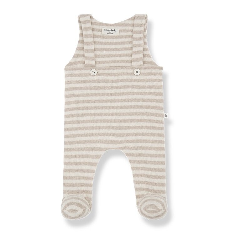 1 + THE FAMILY Francois Overall