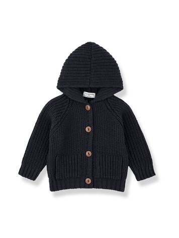 1 + THE FAMILY Morten Hooded Jacket