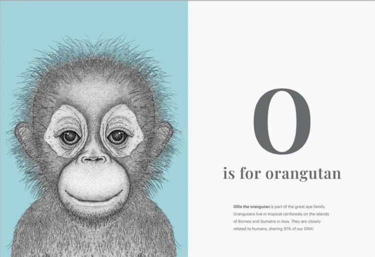 SIMON & SCHUSTER Animal Alphabet Book