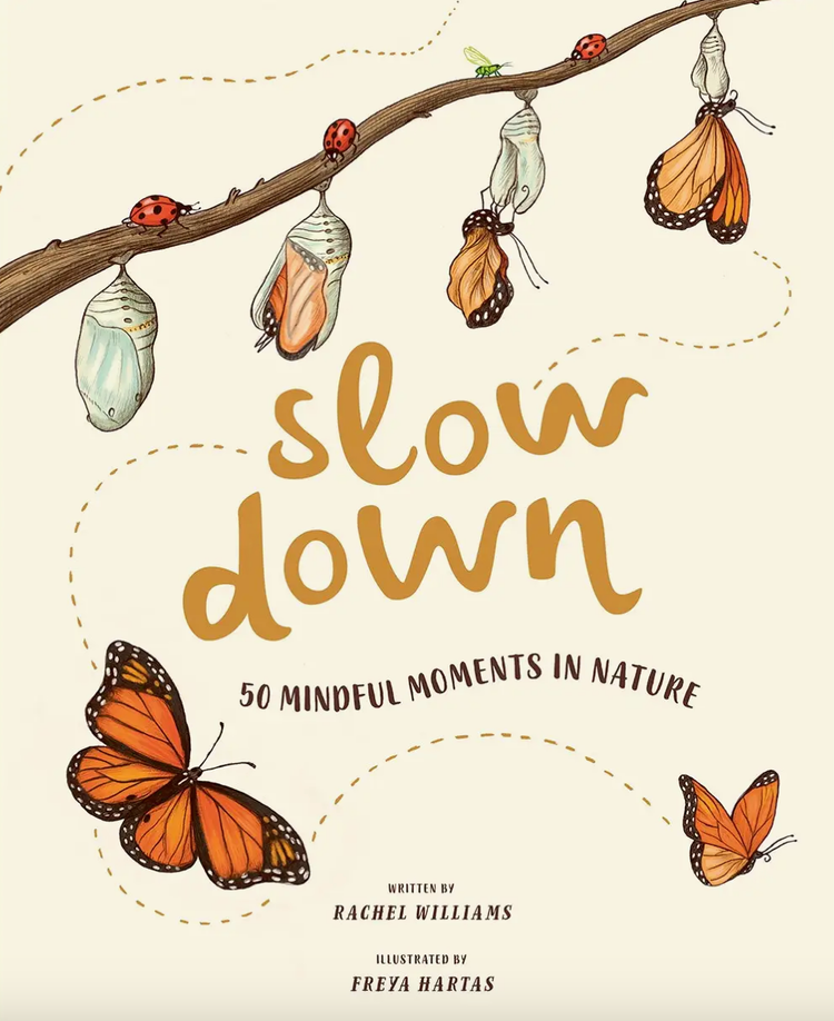 ABRAMS Slow Down Book