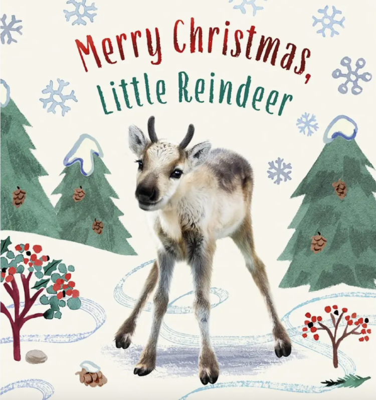 ABRAMS Merry Christmas, Little Reindeer Book