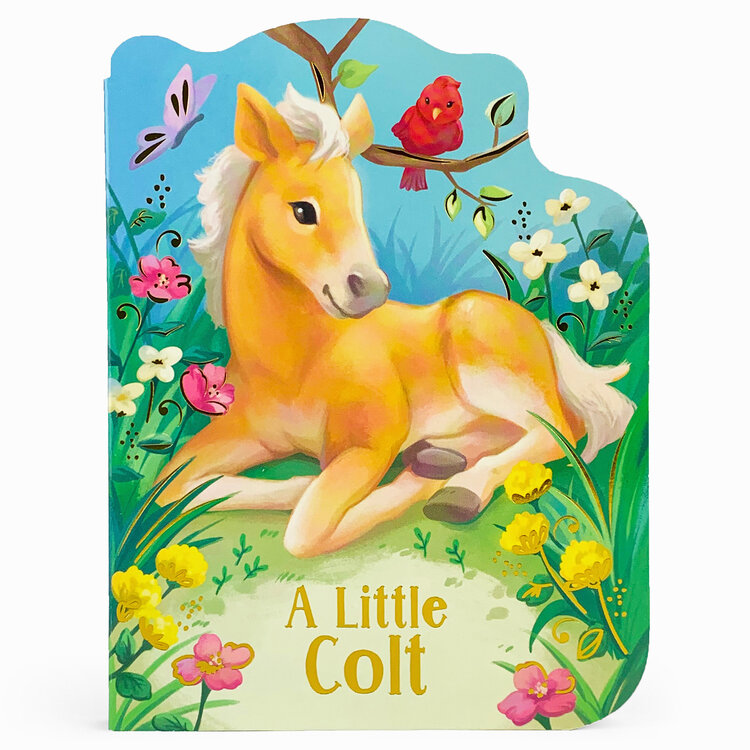 COTTAGE DOOR PRESS A Little Colt Shaped Board Book