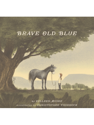 SLEEPING BEAR PRESS Brave Old Blue Book