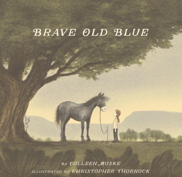 SLEEPING BEAR PRESS Brave Old Blue Book