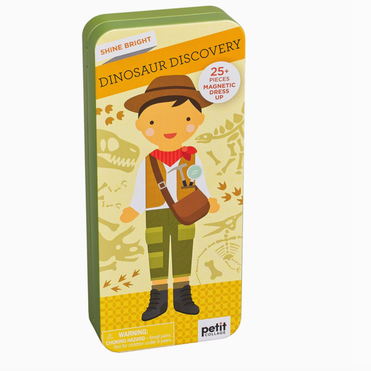 Dinosaur Discovery Magnetic Play Set