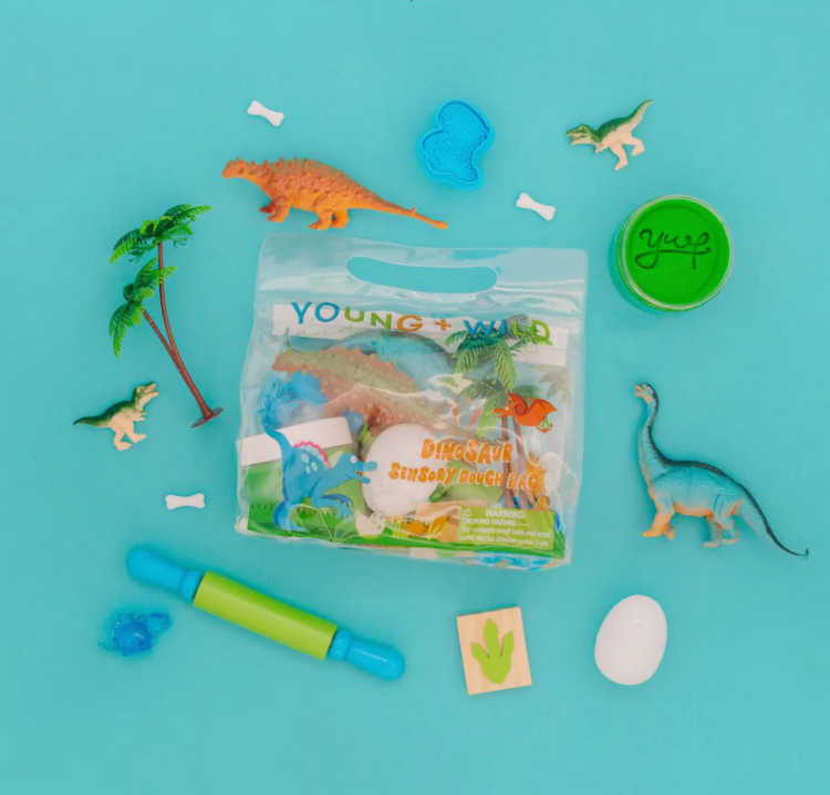 YOUNG + WILD AND FRIEDMAN Sensory Dough Bag - Dinosaur