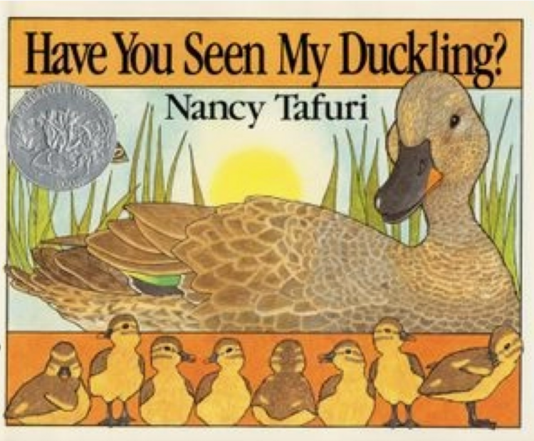 HARPER COLLINS Have You Seen My Duckling? Book