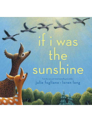 SIMON & SCHUSTER If I Was The Sunshine Book