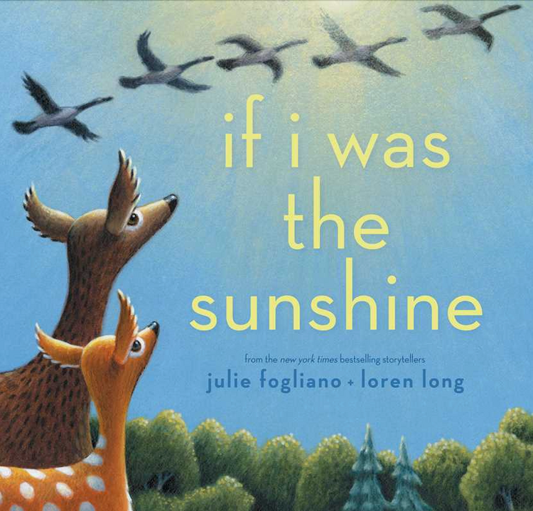 SIMON & SCHUSTER If I Was The Sunshine Book