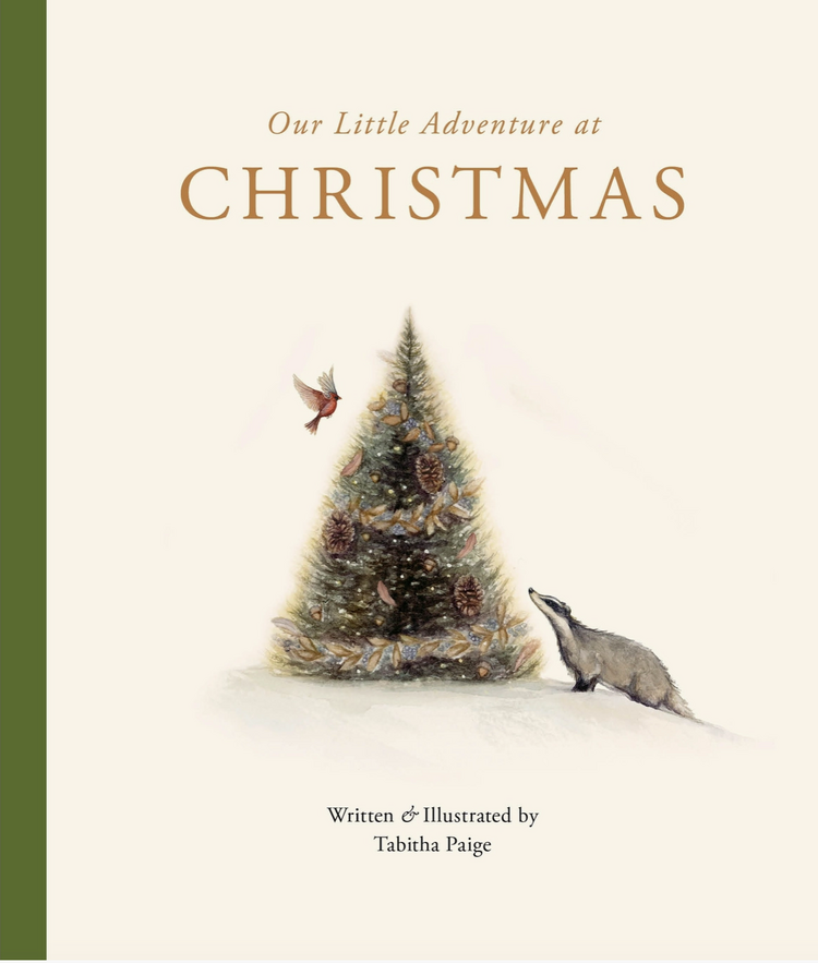 PENGUIN RANDOM HOUSE Our Little Adventure at Christmas Book