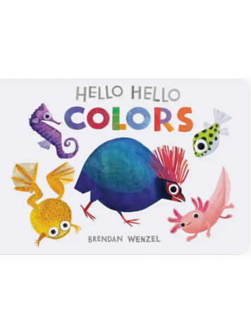 Hello Hello Colors Book