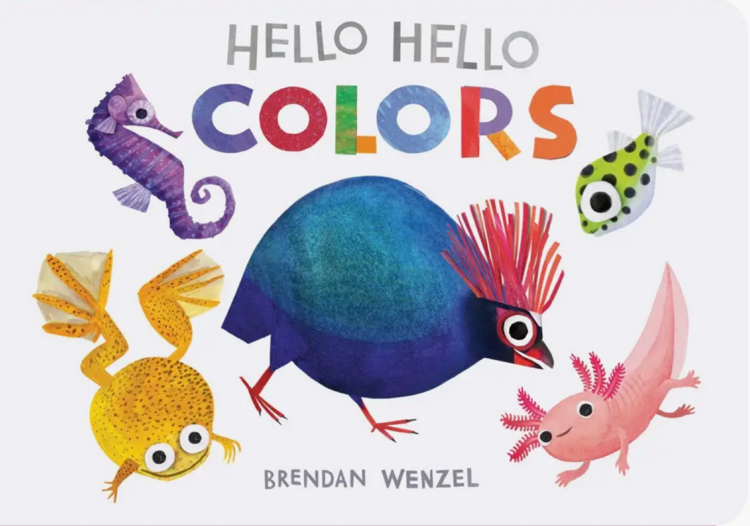 Hello Hello Colors Book
