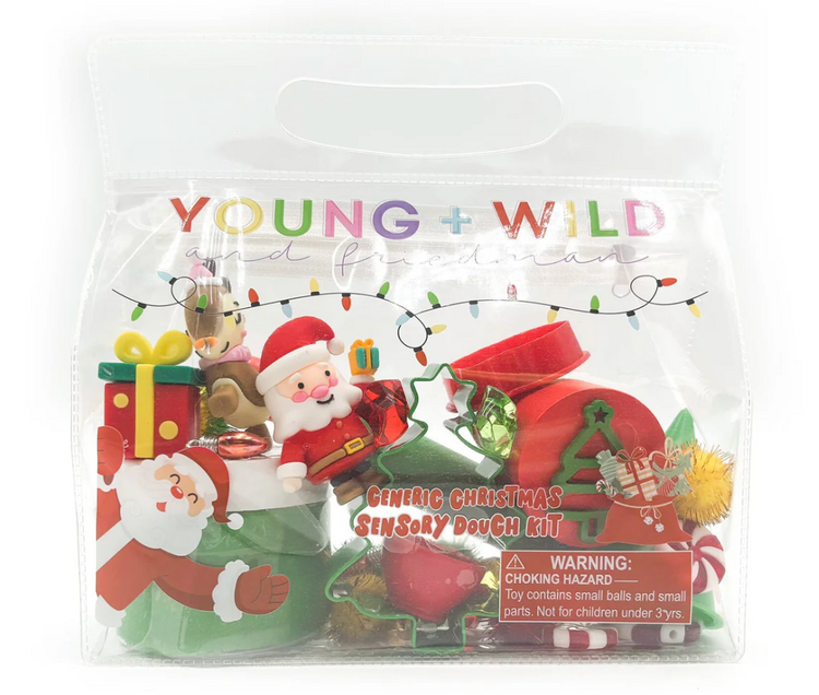 YOUNG + WILD AND FRIEDMAN Christmas Sensory Dough Bag