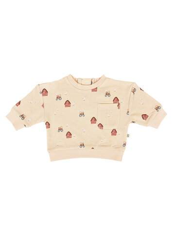 DEAR HAYDEN Organic Terry Baby Sweatshirt