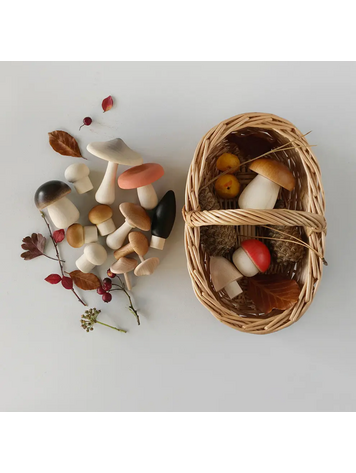 Living Refinery Forest Mushrooms Basket