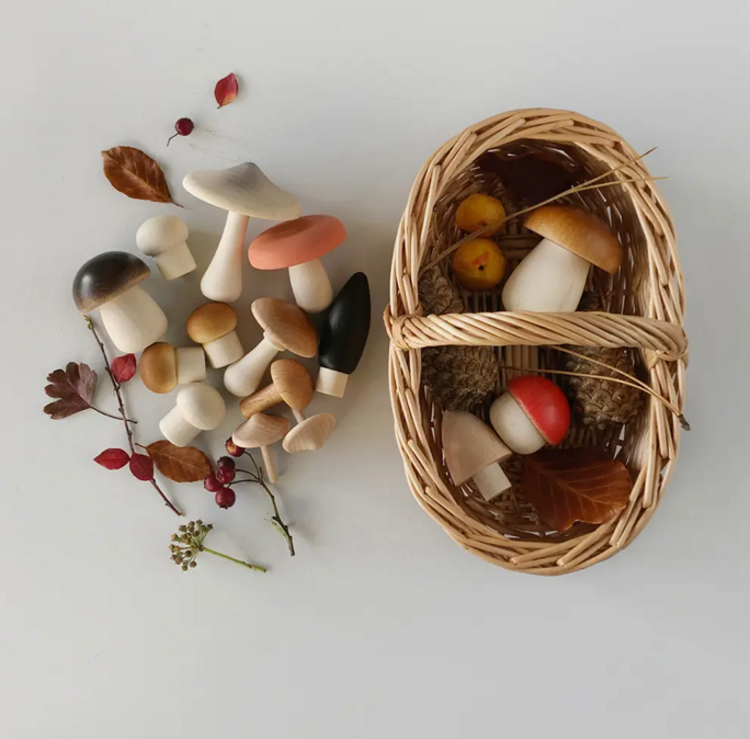 Living Refinery Forest Mushrooms Basket