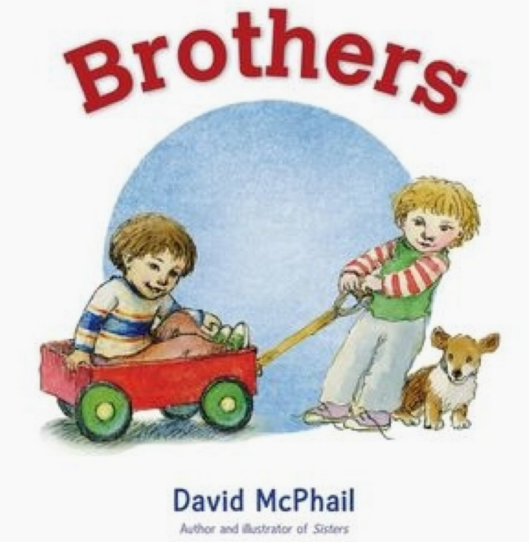 HARPER COLLINS Brothers Book