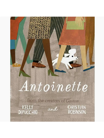 SIMON & SCHUSTER Antoinette Book