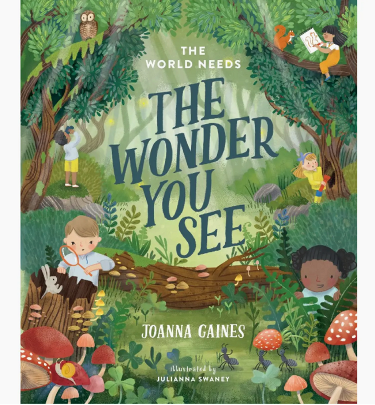 HARPERCOLLINS FOCUS The World Needs The Wonder You See Book