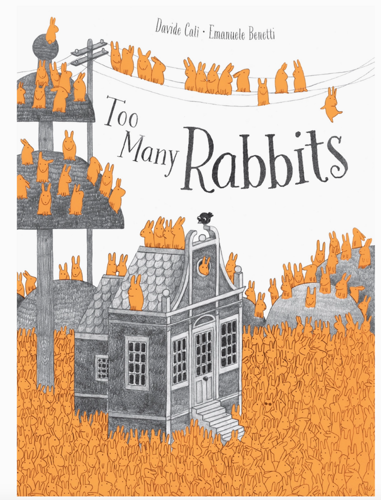 ABRAMS Too Many Rabbits Book