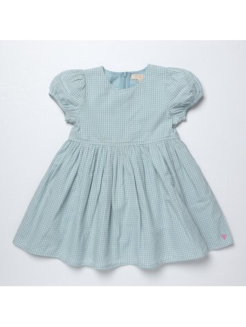 PINK CHICKEN Breyton Gingham Dress