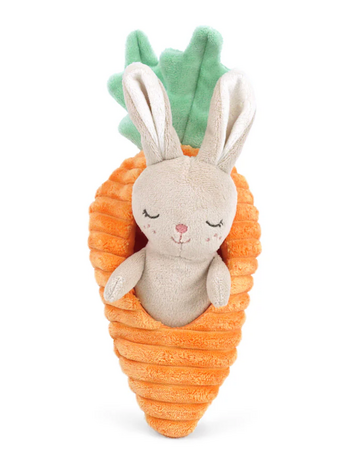MON AMI Bunny in Carrot Activity Toy