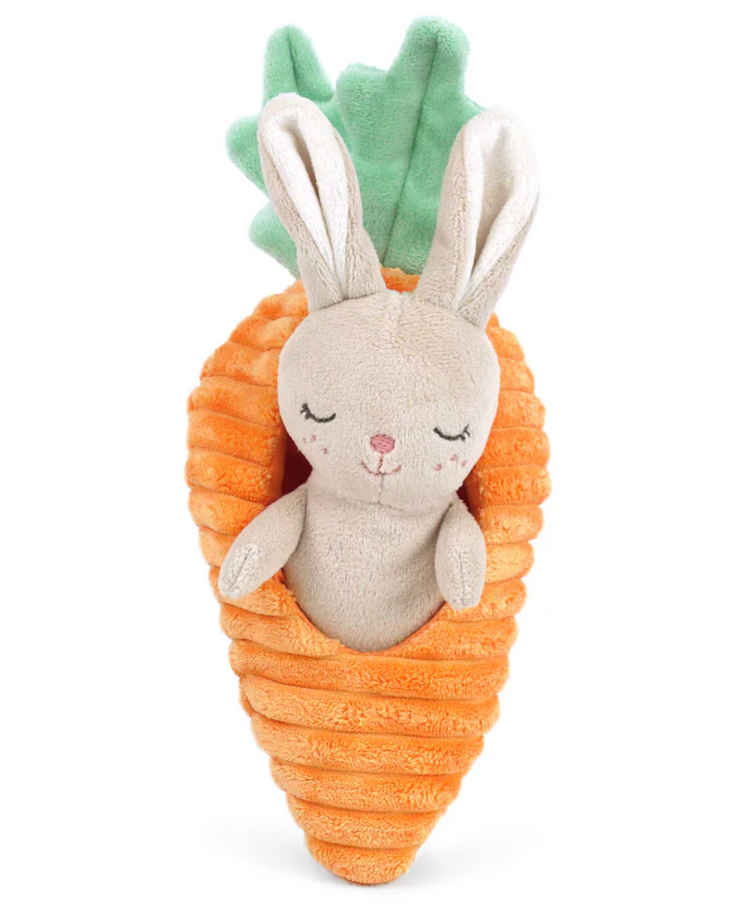 MON AMI Bunny in Carrot Activity Toy