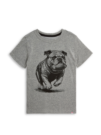 APPAMAN Graphic Bulldog Tee