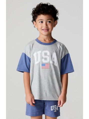 CHASER USA Flag T-Shirt