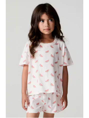 CHASER Watermelon All Over Tee