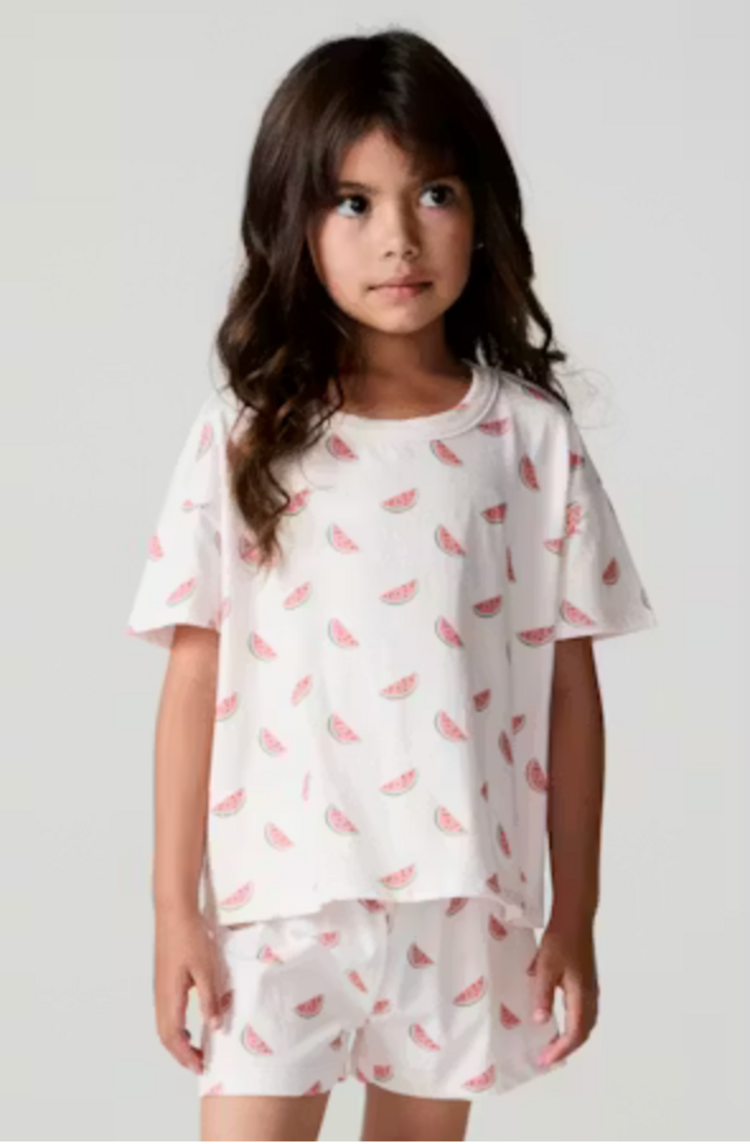 CHASER Watermelon All Over Tee