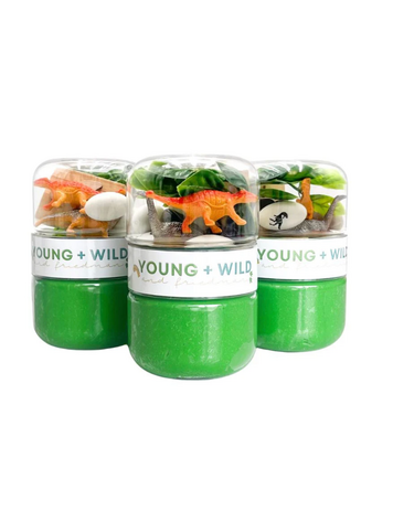 YOUNG + WILD AND FRIEDMAN Dinosaur Grab & Go Dough Jar