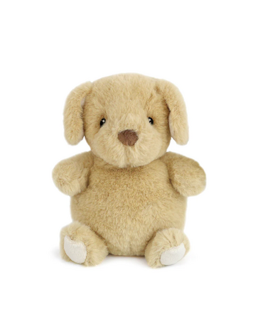 MON AMI Jake Petit Puppy