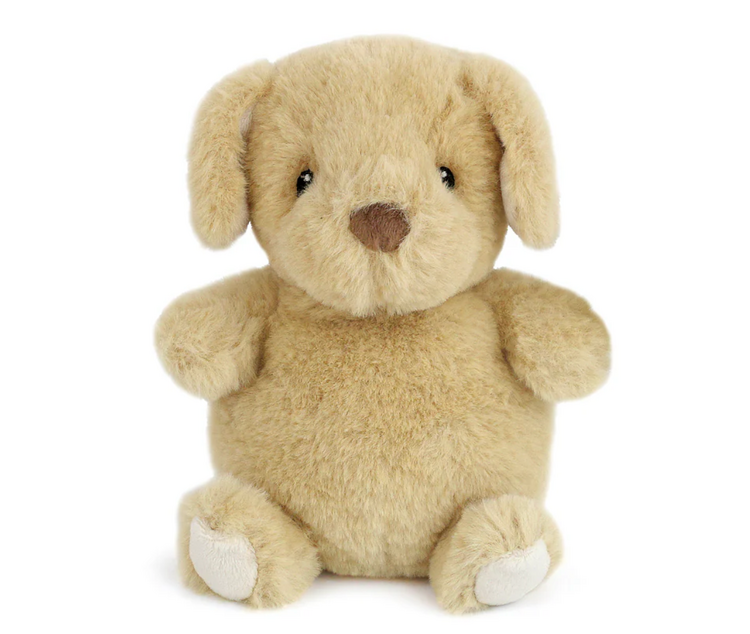 MON AMI Jake Petit Puppy