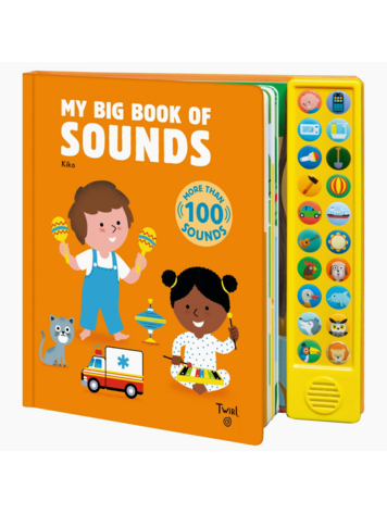 My Big Book Of Sounds BooK
