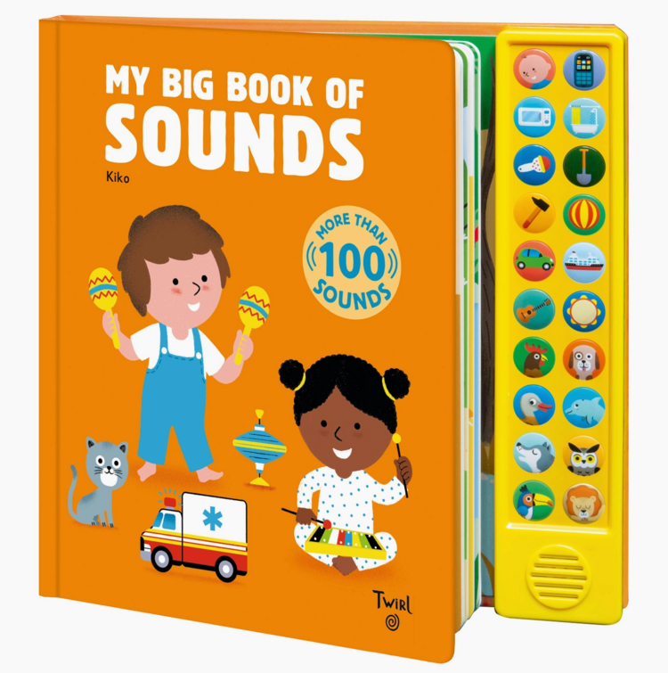 My Big Book Of Sounds BooK