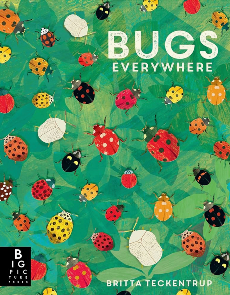PENGUIN RANDOM HOUSE Bugs Everywhere Book